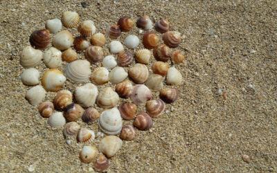 Kamingespräch am 31.03.2026, 19 Uhr, online